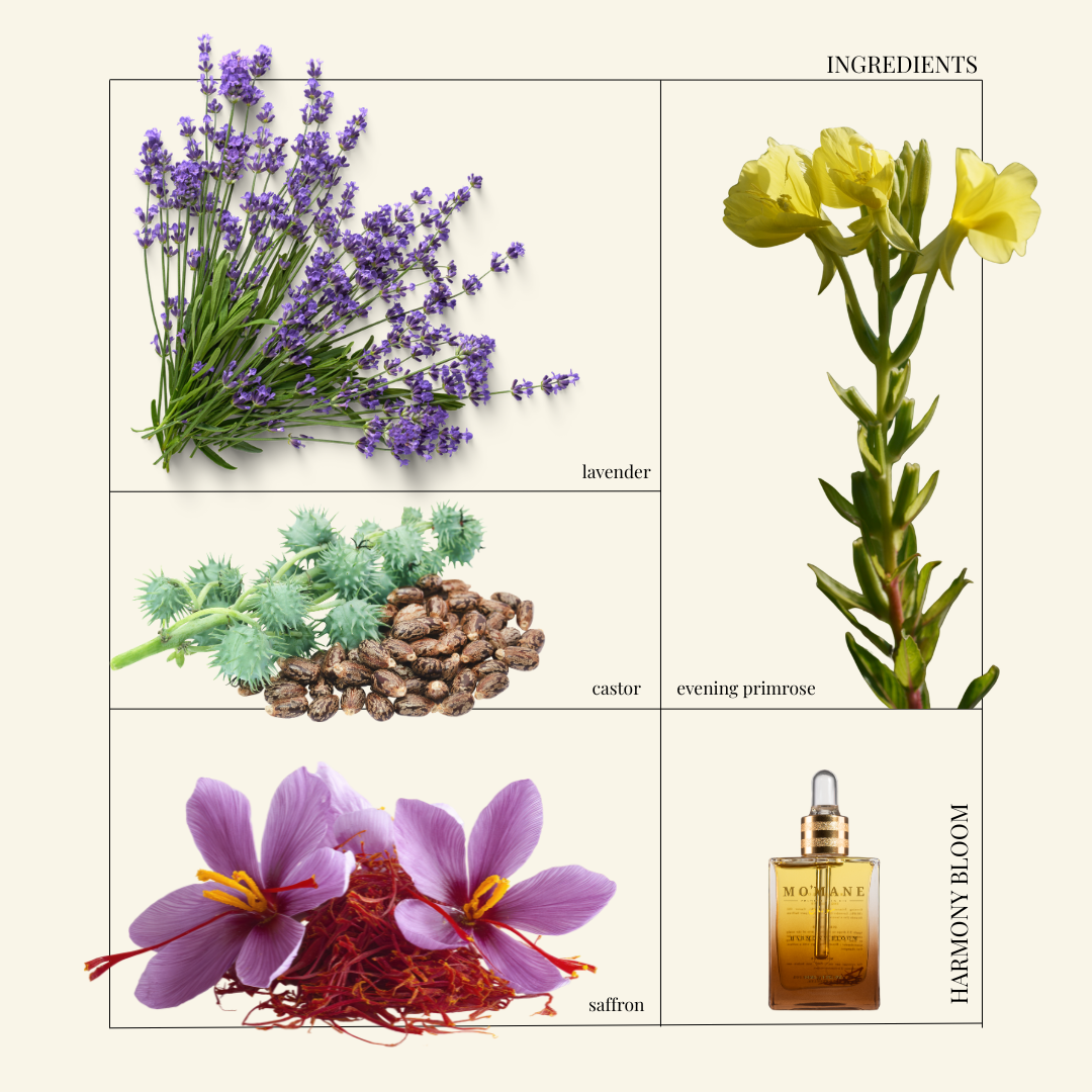 HARMONY BLOOM