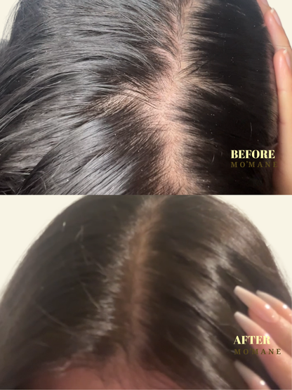 The Signature Christmas Bundle | Limited Edition